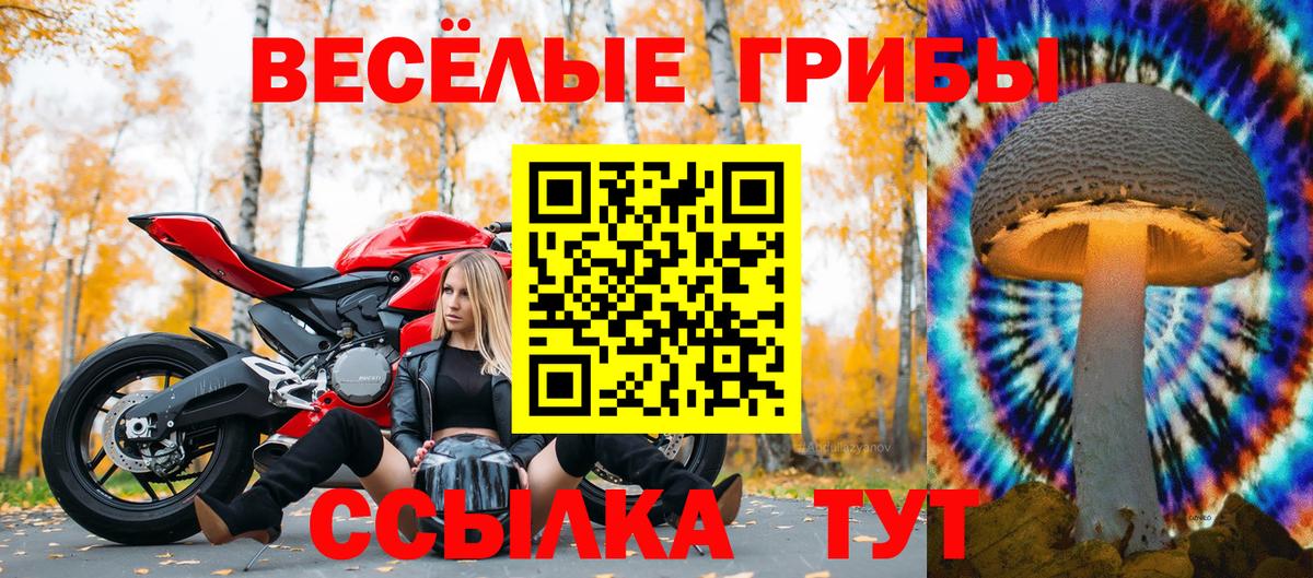 Городец  где купить наркоту  Вход с VPN  Галлюциногенные грибы мицелий 
